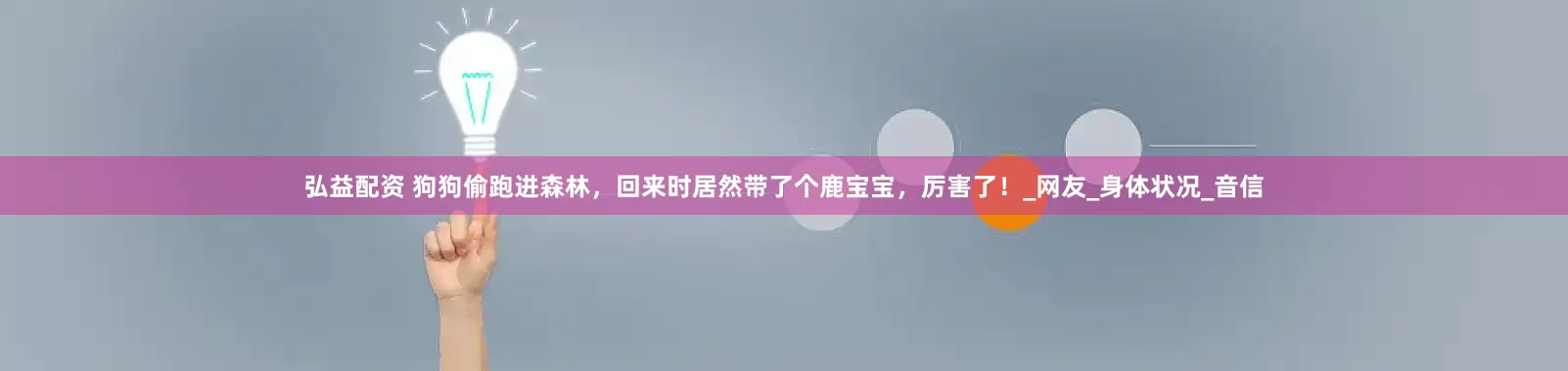 弘益配资 狗狗偷跑进森林，回来时居然带了个鹿宝宝，厉害了！_网友_身体状况_音信