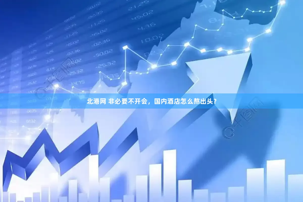 北港网 非必要不开会，国内酒店怎么熬出头？