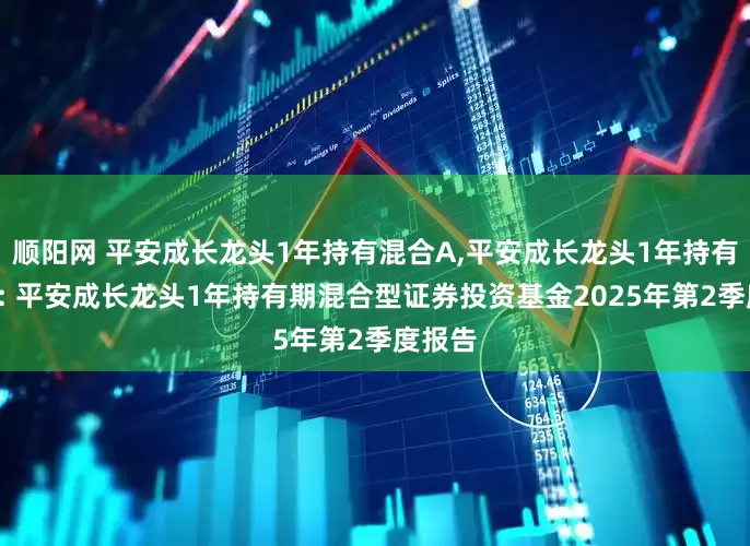 顺阳网 平安成长龙头1年持有混合A,平安成长龙头1年持有混合C: 平安成长龙头1年持有期混合型证券投资基金2025年第2季度报告