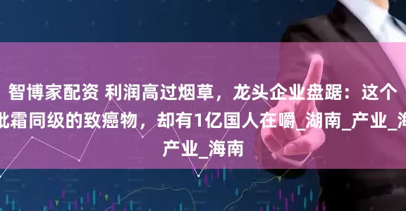 智博家配资 利润高过烟草，龙头企业盘踞：这个与砒霜同级的致癌物，却有1亿国人在嚼_湖南_产业_海南